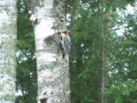 100_6715.jpg